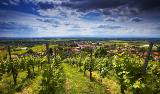 Landschaft bei Ballrechten-Dottingen