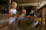 Urlaub auf dem Bauernhof von Roter Hahn c/o Angelika Hermann-Meier PR