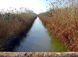 Albufera channel Mallorca.