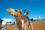Kamelrennen in Boulia von Tourism Queensland c/o Global Spot