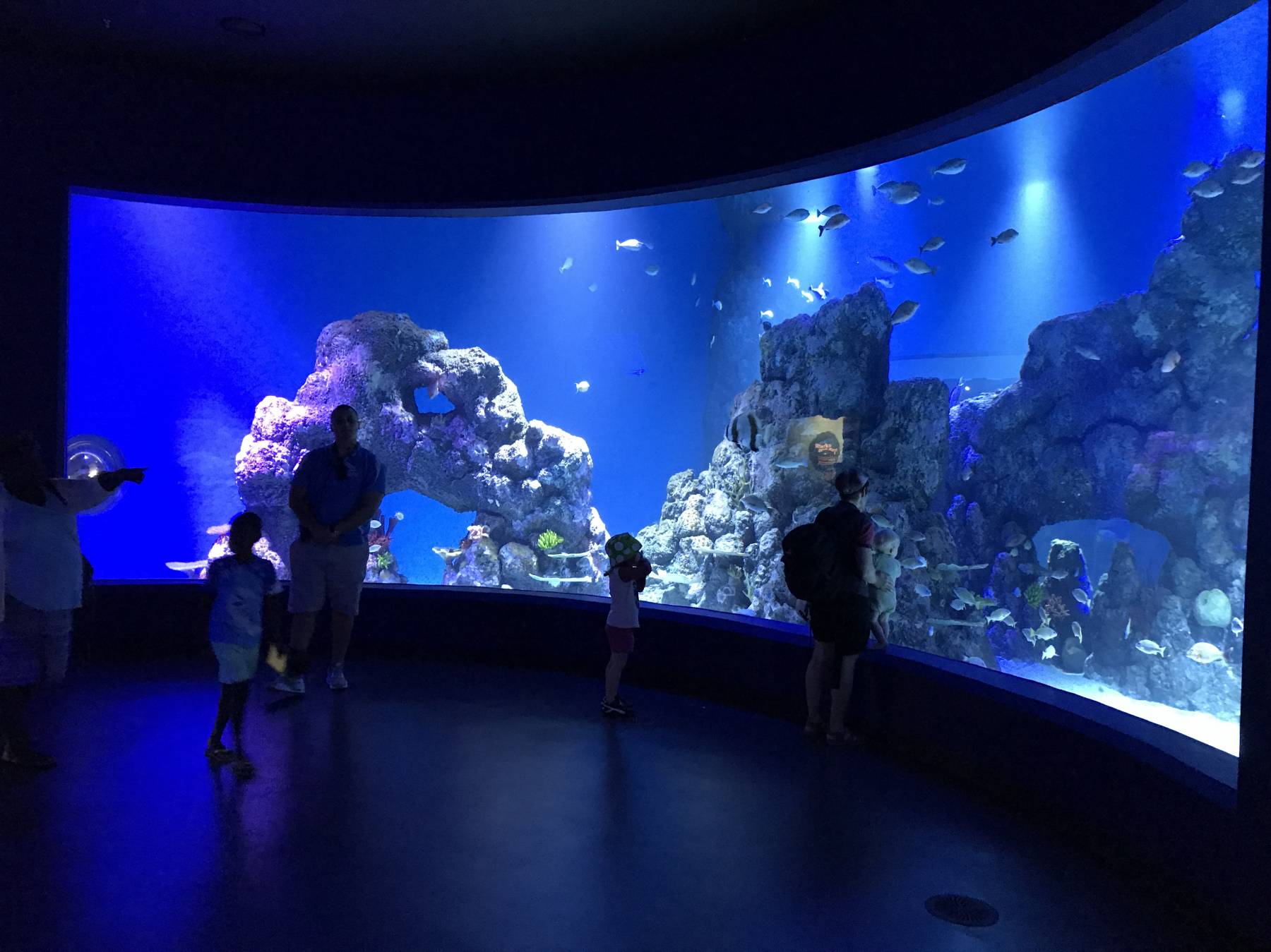 Rundgang im Cairns Aquarium