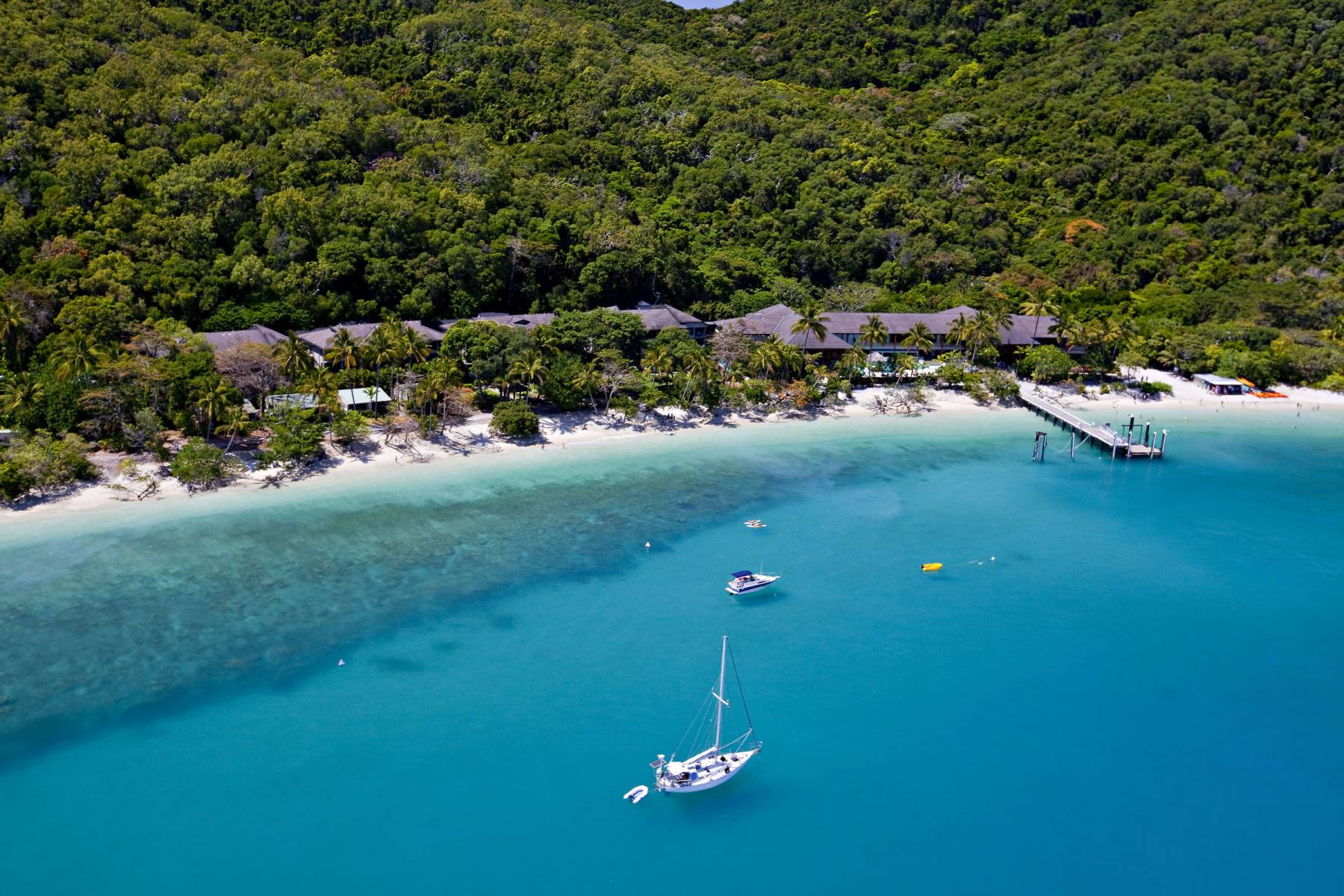 Bei Fitzroy Island starten viele Touren in die bunte Korallenwelt