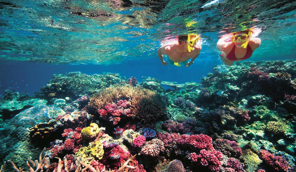 Schnorcheltour am Grat Barrier Reef