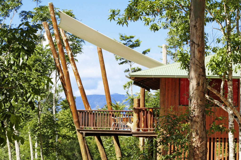 Das Rose Gums Wilderness Retreat: Übernachten im Baumhaus mitten im tropischen Regenwald