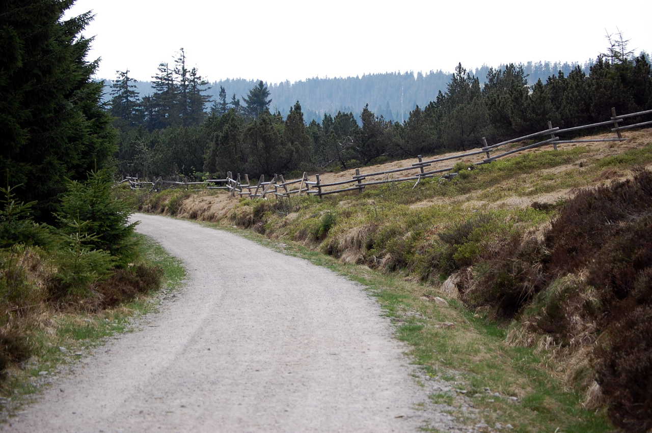 Michael-Glaser-Weg im Hochmoor