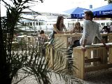 Palmen und Schatten im Biergarten des Restaurant Fischer im Ortsteil Stegen von Restaurant Fischer c/o Kunz & Partner