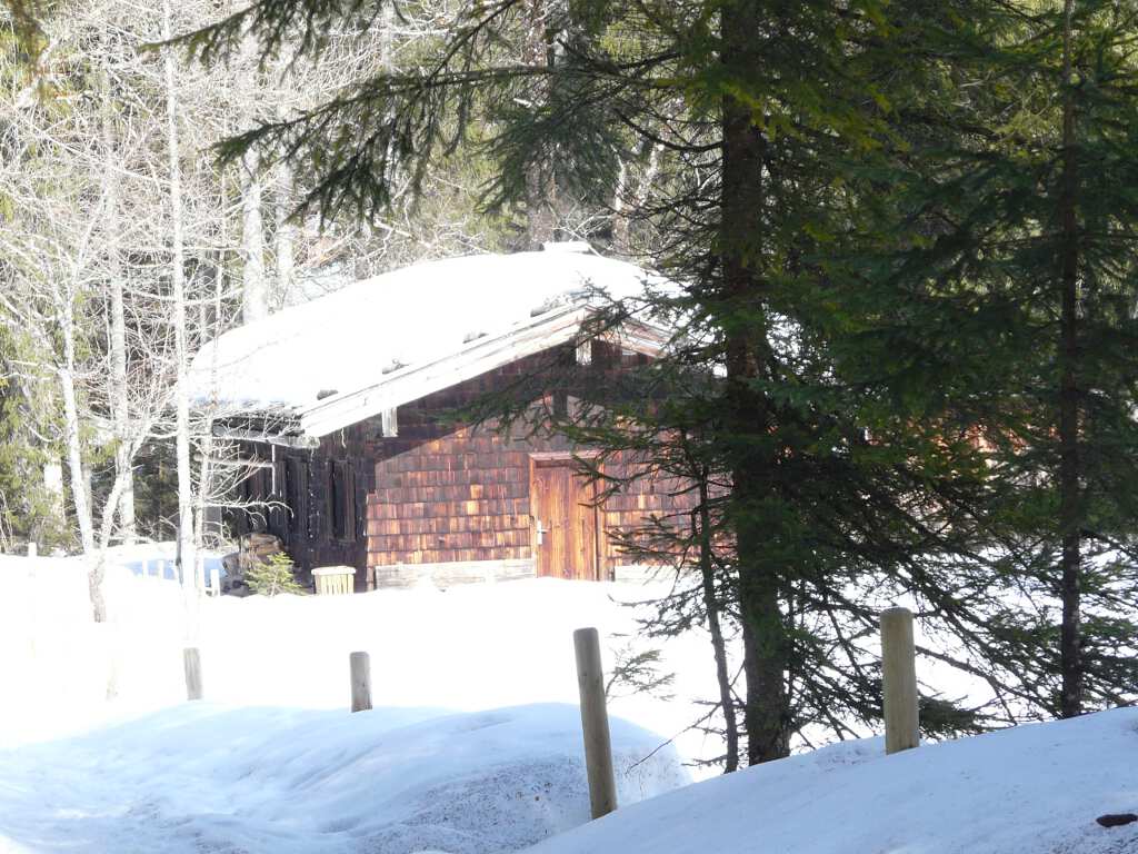 Hütte im Wald nahe Kreuth