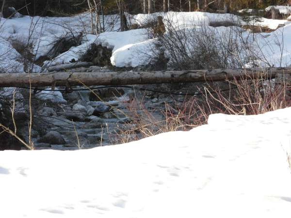 Die Weissach im Winter