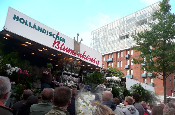 Blumenauktion auf dem Fischmarkt