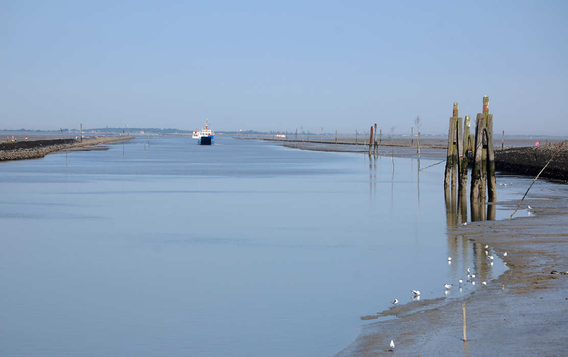 Fähre nach Langeoog im Benser Tief