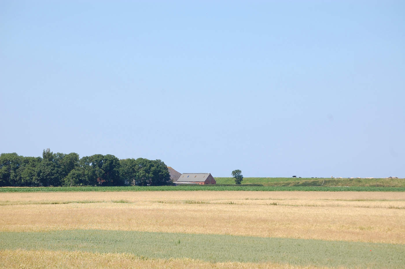 Plattes Land bei Carolinensiel