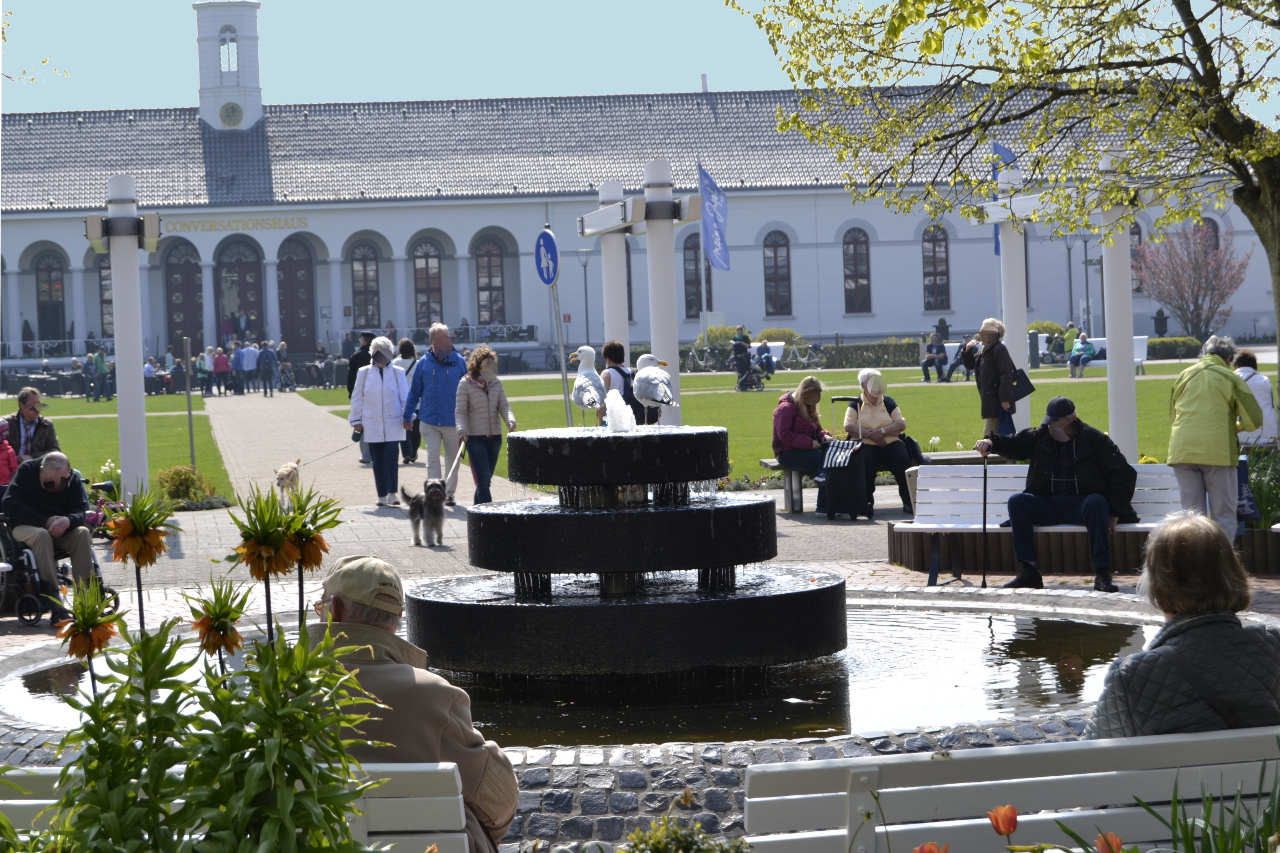 Möven lästern über Menschen - Kurplatz Norderney