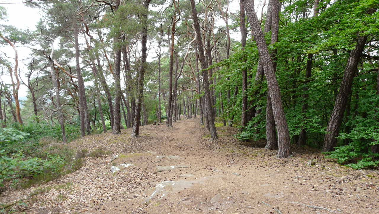 Höhenwanderweg zum Jungfernsprung