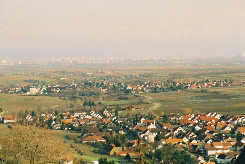 Ausblick bis Ludwigshafen