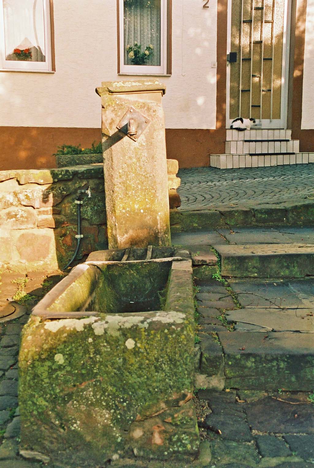 Brunnen