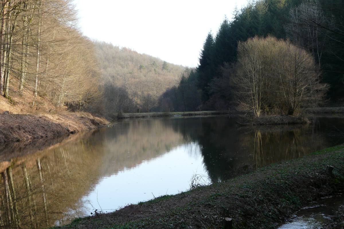 Weiheranlage im Odenbachtal