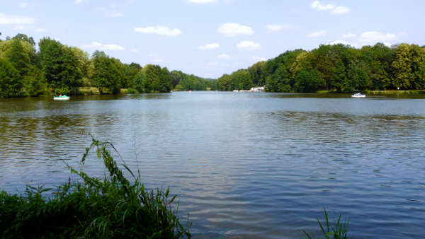 Der Brückweiher - Nähe Kletterpark