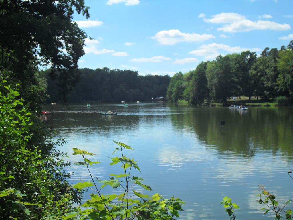 Der Brückweiher