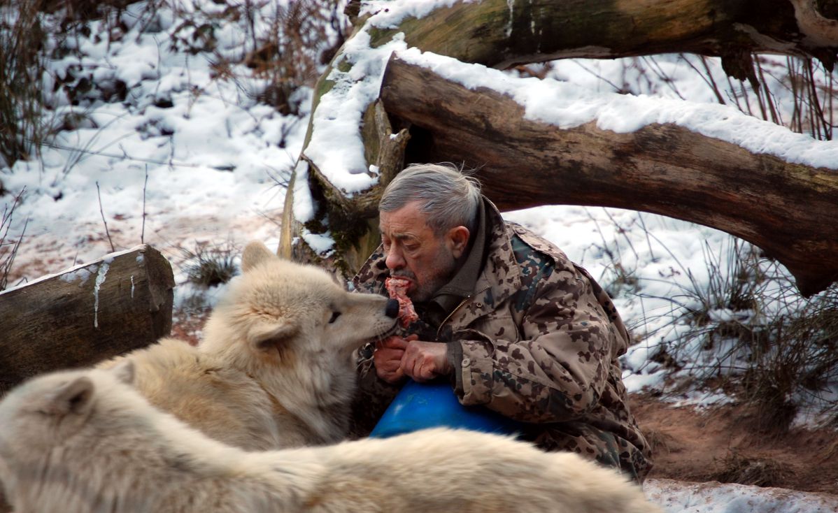 Wolfsfütterung im Wolfspark Werner Freund