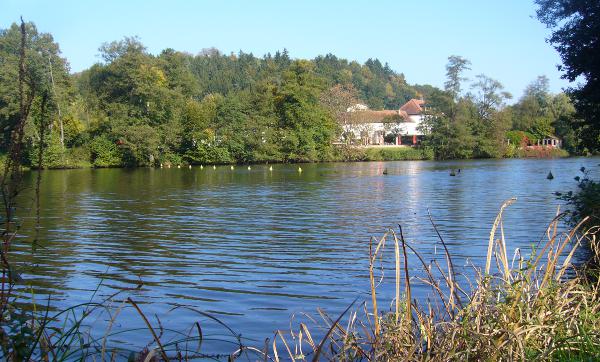 Der Annahof am Niederwürzbacher Weiher