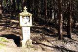 Kreuzweg im Niederwürzbacher Wald