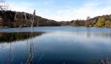 Der Niederwürzbacher Weiher