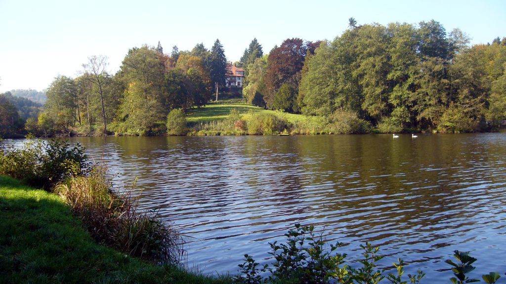 Der Niederwürzbacher Weiher und Gut Junkerwald