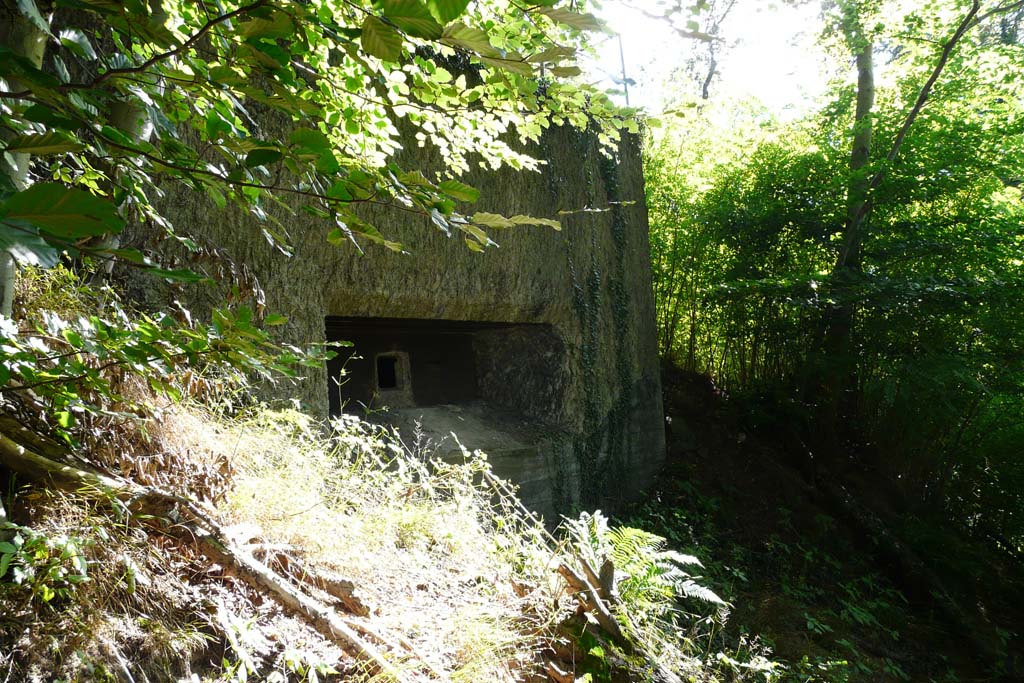 Westwall Bunker am Halberg