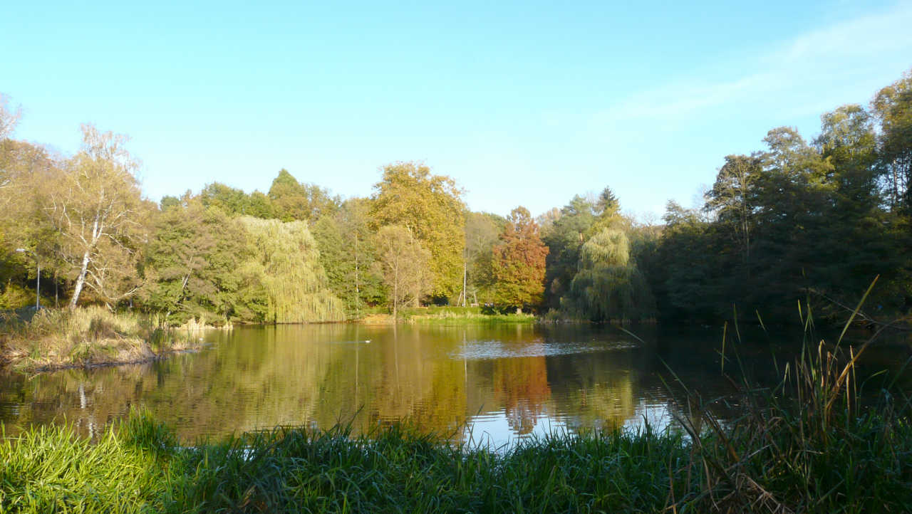 Der Prinzenweiher - in eiskalten Wintern Schlittschuhbahn