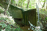 Der Westwall: Bunker am Halberg