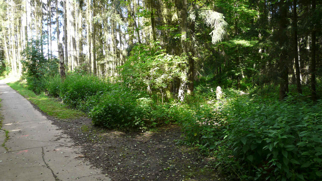 Mühlenbach Schluchten Tour gut aufpassen unauffällige Abzweigung