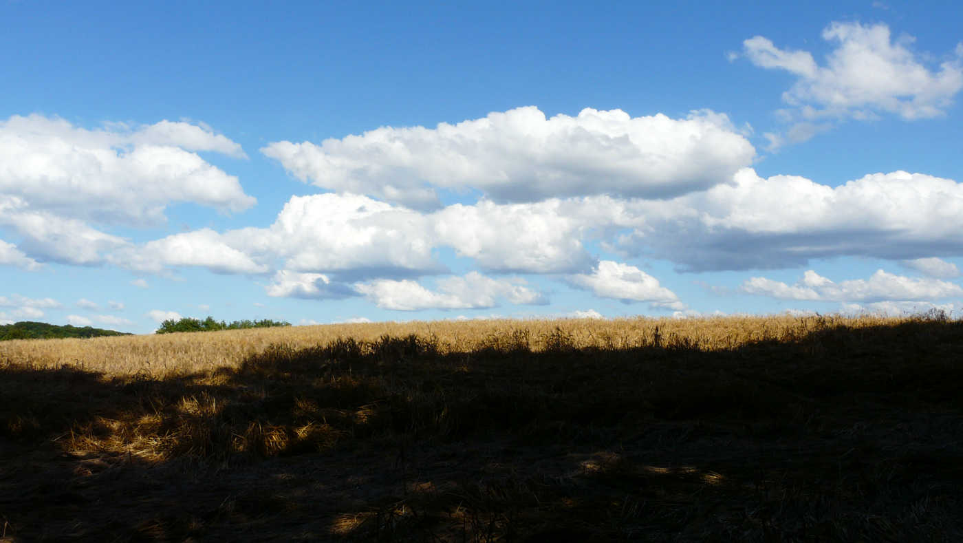 Saarland Landschaft bei Reisbach