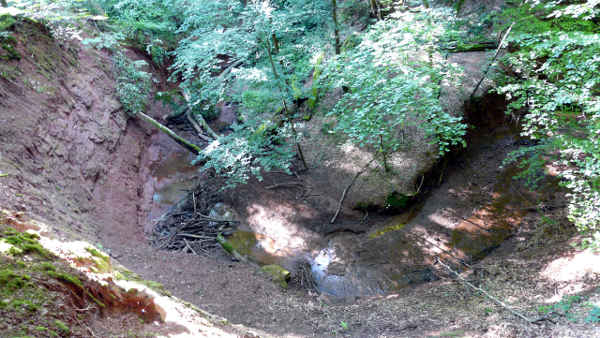 Blick in die Mühlenbachschlucht