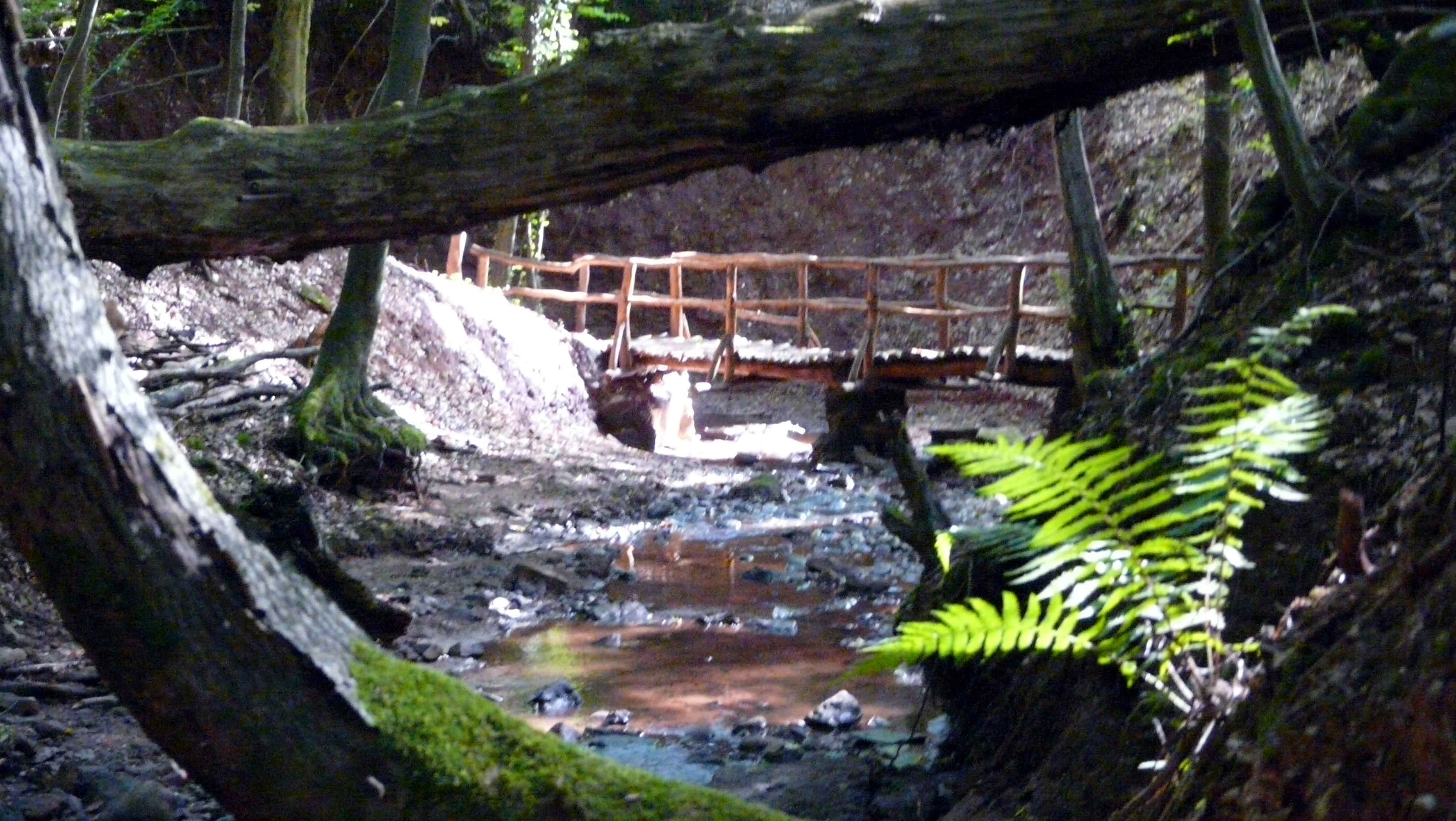 Mühlenbach Schluchten Tour: Brücke