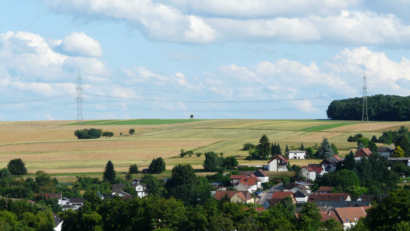 die Kupp Reisbach