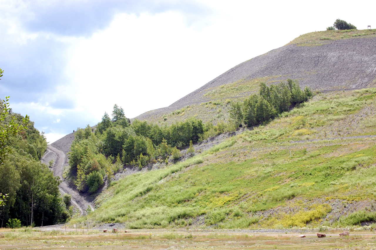 Schlackehalde der Grube Reden neben Gondwana