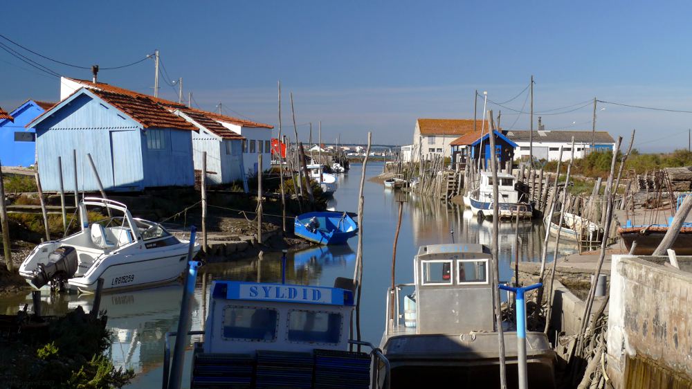 Oyster culture at Île d'Oléron