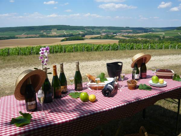 Champagnerpicknick bei Remy Massin et Fils