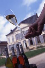 Champagnerflöte von Philippe Praliaud c/o Aube en Champagne Tourisme