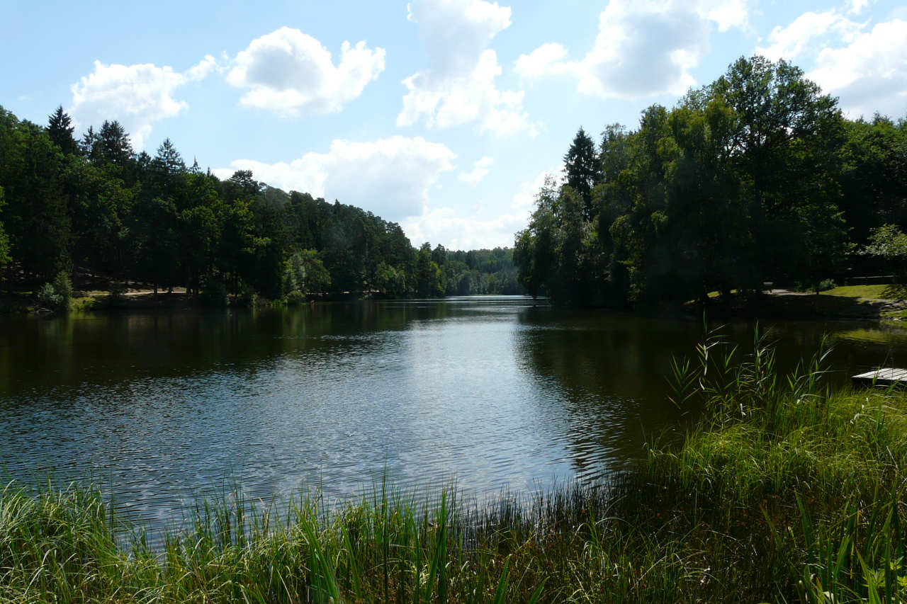 Etang d'Hasselfurth im Sommer