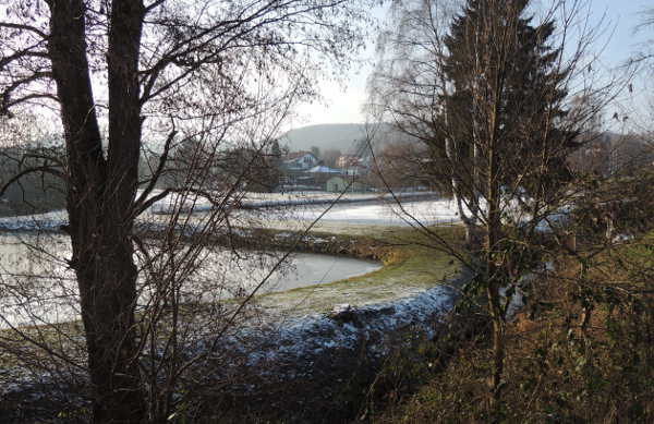 Schuesselthalbaechel und Teich in Wingen