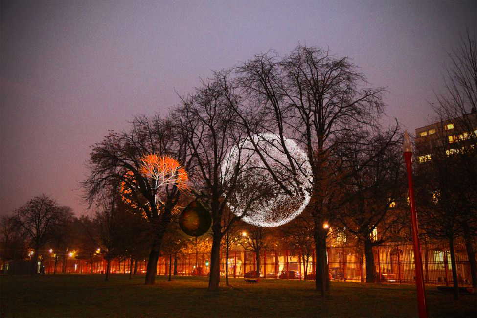 Der energetische Obstbaum