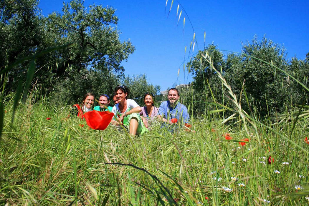 Wandergruppe auf einer Wiese