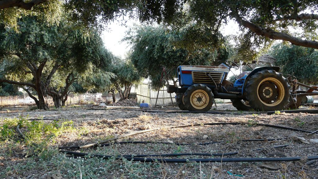 Landwirtschaft in Anissaras