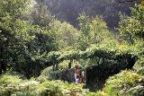 Wandern bei Panagia von Gerhard Haubold