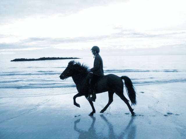 Reiten an Islands Westküste by Iceland Horseback Riding