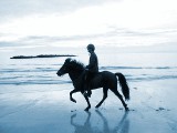 Reiten an Islands Westk�ste von Iceland Horseback Riding