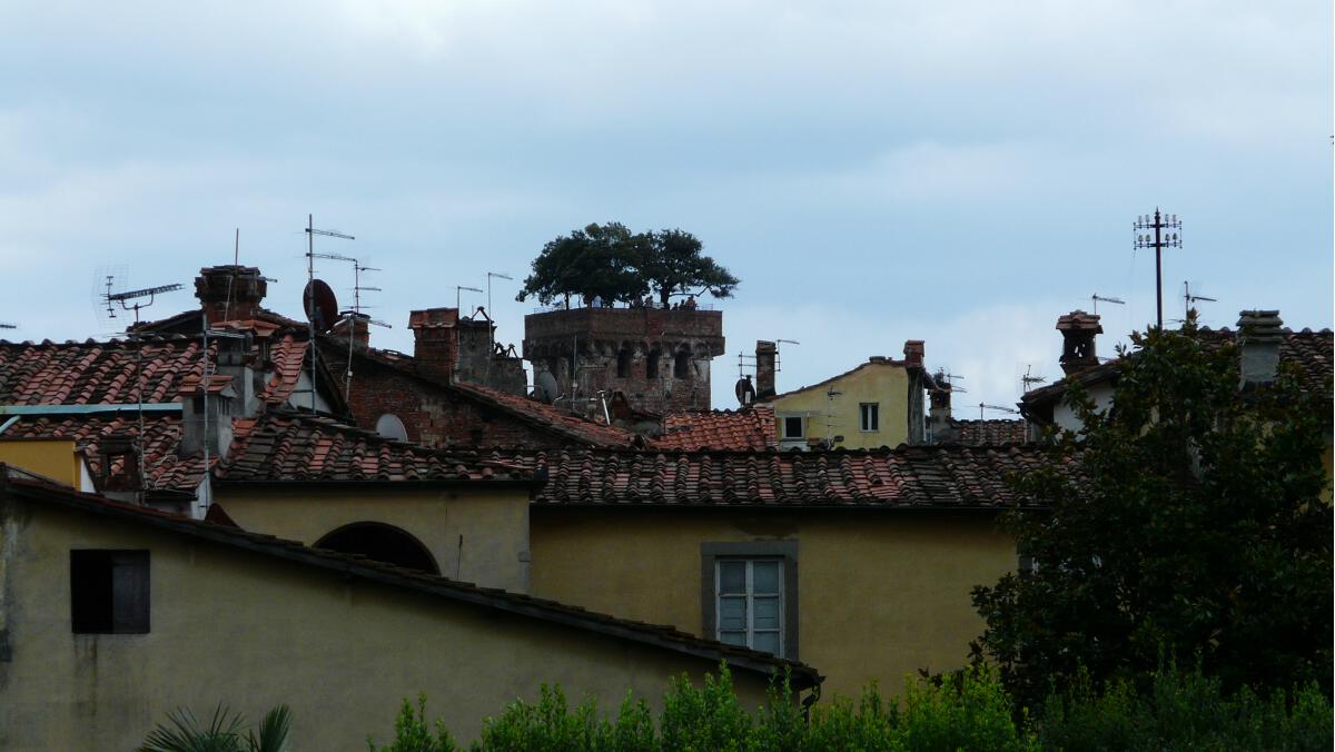 Bäume Am Himmel - Der Turm des Palazzo Guinigi in Lucca