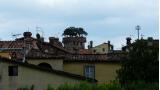 Bäume Am Himmel - Der Turm des Palazzo Guinigi in Lucca
