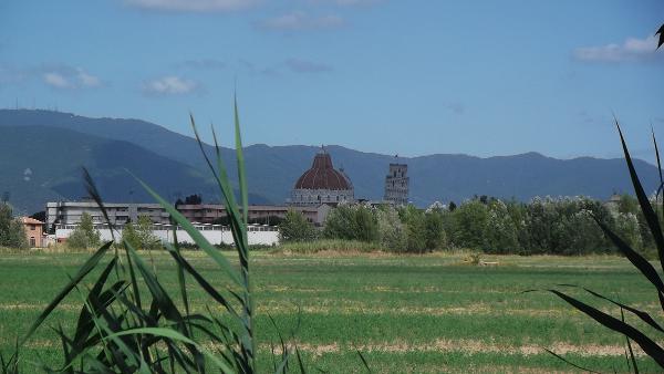 Pisa: Turm und Dom von der Umfahrung aus